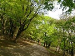 �摜(240x180)�E�g��摜(640x480)