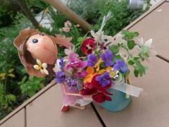 �摜(240x180)�E�g��摜(640x480)