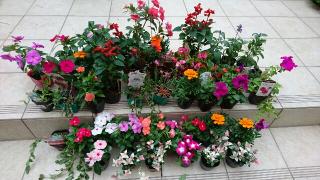 �摜(320x180)�E�g��摜(640x360)