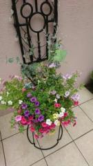 �摜(135x240)�E�g��摜(360x640)