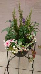 �摜(135x240)�E�g��摜(360x640)