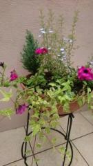 �摜(135x240)�E�g��摜(360x640)