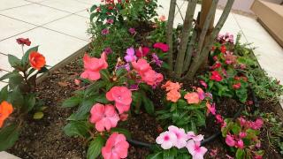 �摜(320x180)�E�g��摜(640x360)