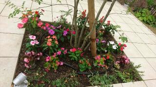 �摜(320x180)�E�g��摜(640x360)