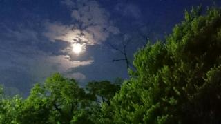 �摜(320x180)�E�g��摜(640x360)