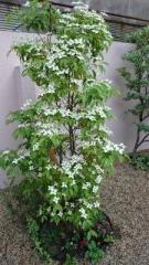 �摜(135x240)�E�g��摜(360x640)