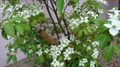 �摜(240x135)�E�g��摜(640x360)