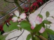 �摜(180x135)�E�g��摜(640x480)