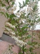 �摜(135x180)�E�g��摜(480x640)