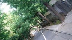 �摜(240x135)�E�g��摜(640x360)