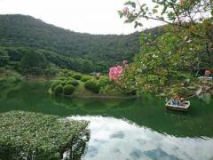 �摜(240x180)�E�g��摜(640x480)