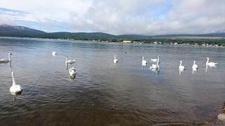 �摜(320x180)�E�g��摜(640x360)