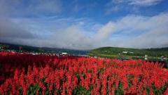 �摜(240x135)�E�g��摜(640x360)