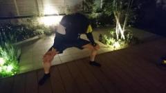 �摜(240x135)�E�g��摜(640x360)