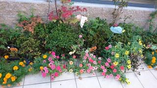 �摜(320x180)�E�g��摜(640x360)