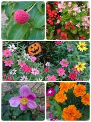 �摜(180x240)�E�g��摜(480x640)