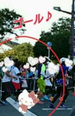 �摜(156x240)�E�g��摜(416x640)