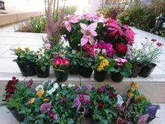 �摜(240x180)�E�g��摜(640x480)