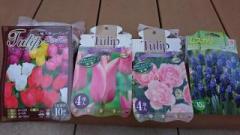 �摜(240x135)�E�g��摜(640x360)