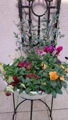 �摜(135x240)�E�g��摜(360x640)