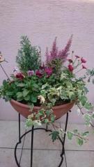 �摜(135x240)�E�g��摜(360x640)