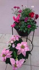 �摜(135x240)�E�g��摜(360x640)