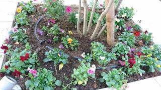 �摜(320x180)�E�g��摜(640x360)