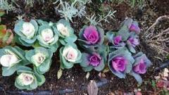 �摜(240x135)�E�g��摜(640x360)