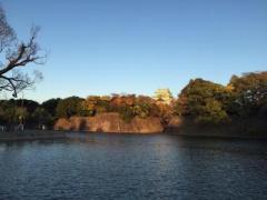 画像(240x180)・拡大画像(640x480)