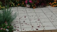 画像(240x135)・拡大画像(640x360)