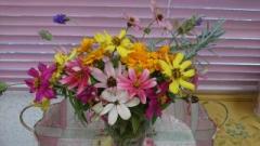 画像(240x135)・拡大画像(640x360)