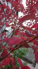 画像(135x240)・拡大画像(360x640)