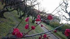 �摜(240x135)�E�g��摜(640x360)