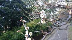 �摜(240x135)�E�g��摜(640x360)