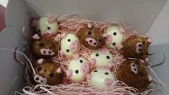 �摜(240x135)�E�g��摜(640x360)