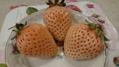 �摜(240x135)�E�g��摜(640x360)