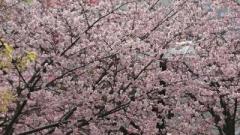 �摜(240x135)�E�g��摜(640x360)