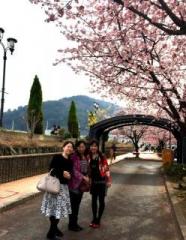 �摜(186x240)�E�g��摜(497x640)