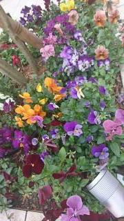 �摜(180x320)�E�g��摜(360x640)