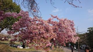 �摜(320x180)�E�g��摜(640x360)