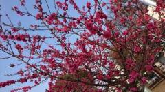 �摜(240x135)�E�g��摜(640x360)