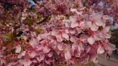 �摜(240x135)�E�g��摜(640x360)