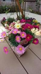 �摜(135x240)�E�g��摜(360x640)