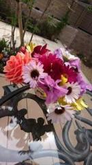 �摜(135x240)�E�g��摜(360x640)