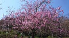 �摜(240x135)�E�g��摜(640x360)