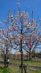 �摜(135x240)�E�g��摜(360x640)