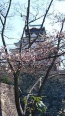 �摜(135x240)�E�g��摜(360x640)