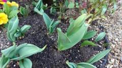 �摜(240x135)�E�g��摜(640x360)