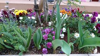 �摜(320x180)�E�g��摜(640x360)