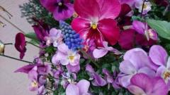 �摜(240x135)�E�g��摜(640x360)